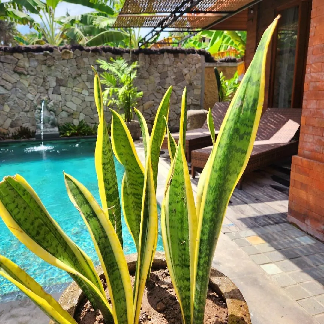 Buda Yana Ubud  0*, Ubud (Bali)